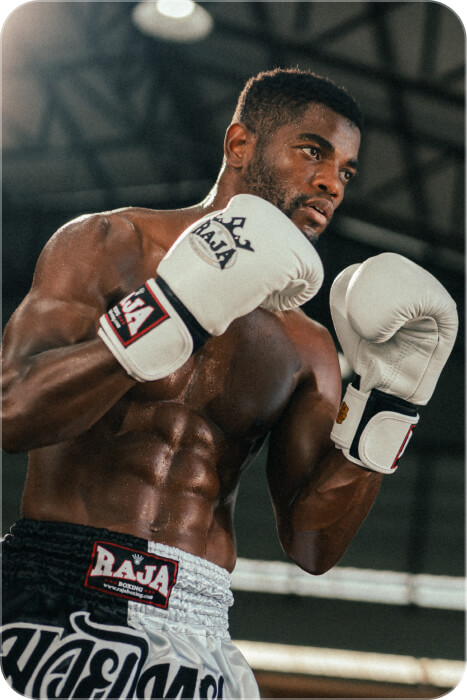 boxer